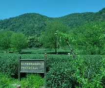 stablediffusion显卡要求